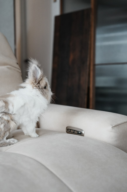 電動沙發推薦!買電動沙發會不會後悔?MR. LIVING 居家先生 泡芙 2.0 零壓力電動沙發,也太神了吧! ▼「科技貓抓布」的防刮耐磨材質真的很厲害